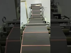 Batteria agli ioni di litio Batteria produrre Extrusione slot macchina di rivestimento a stampo